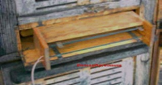 Datei:Bienengiftgewinnung 1 1 Kleine Webansicht.jpg