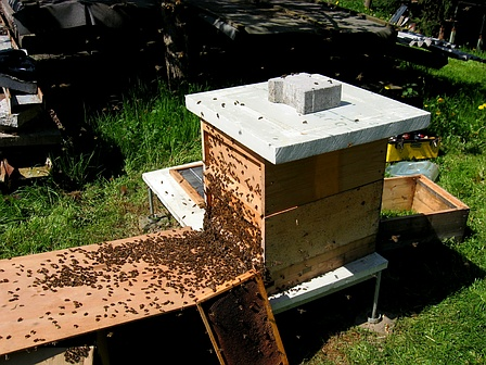 Abstosen htm m54d901fe.png