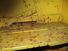 Datei:IMG 1255 293X220.jpg