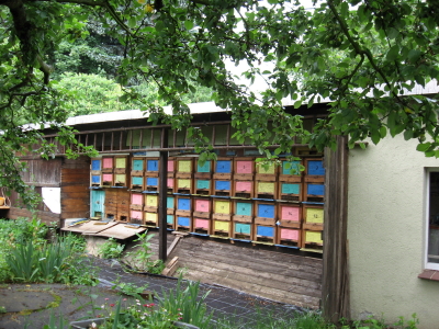Datei:Kloß friederich 1 1.jpg