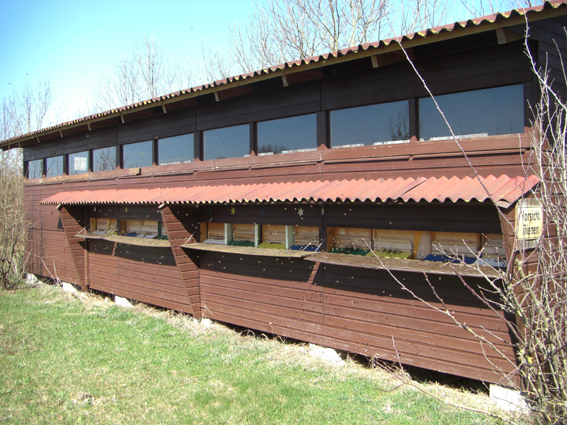 Bienenhaus.JPG