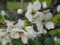 Vorschaubild der Version vom 17. April 2011, 23:52 Uhr