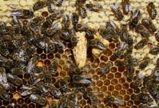 STILLE uMWEISLUNG Kleine Webansicht.jpg